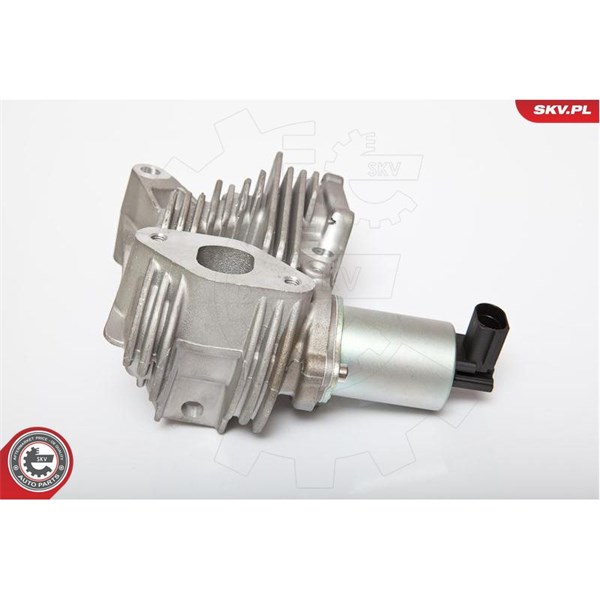 Egr-ventil 12V Esen skv 14SKV036 ESEN SKV