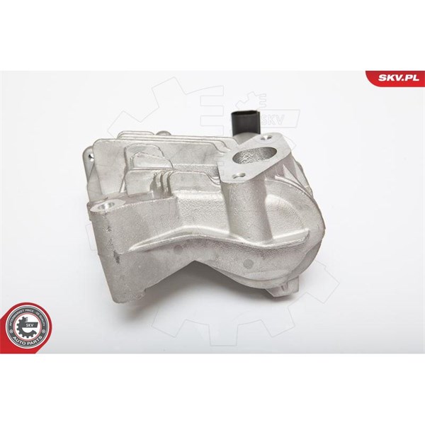 Egr-ventil 12V Esen skv 14SKV036 ESEN SKV