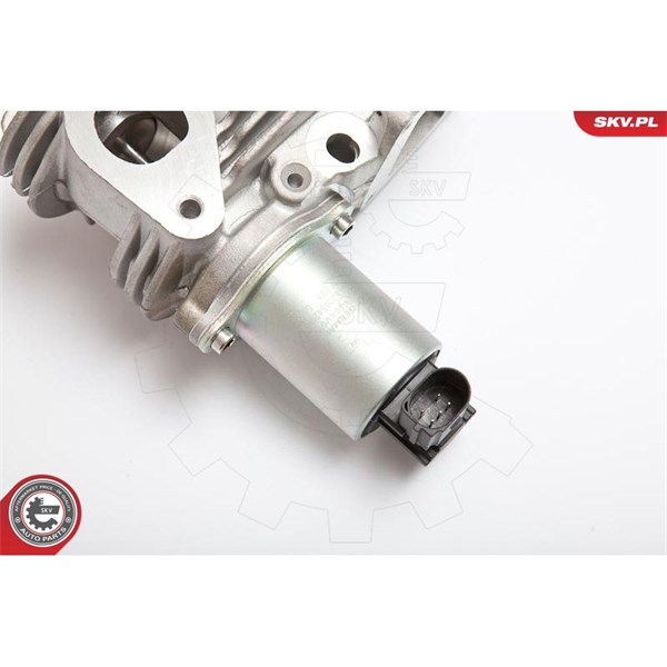 Egr-ventil 12V Esen skv 14SKV036 ESEN SKV