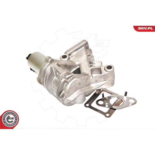 Egr-ventil 12V Esen skv 14SKV036 ESEN SKV