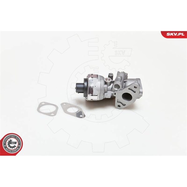 Egr-ventil 12V Esen skv 14SKV038 ESEN SKV