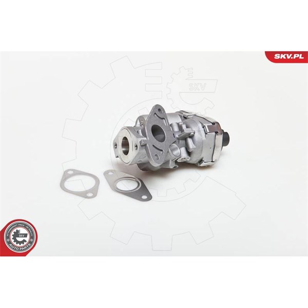 Egr-ventil 12V Esen skv 14SKV038 ESEN SKV