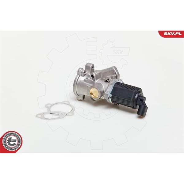 Egr-ventil 12V Esen skv 14SKV039 ESEN SKV