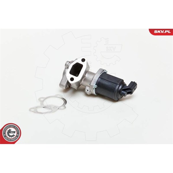 Egr-ventil 12V Esen skv 14SKV039 ESEN SKV
