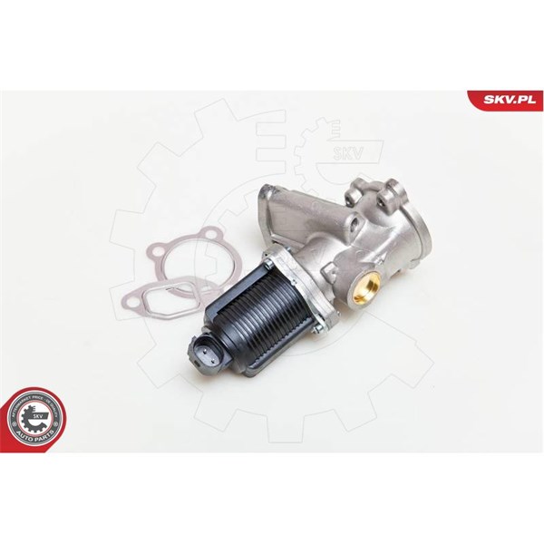 Egr-ventil 12V Esen skv 14SKV039 ESEN SKV