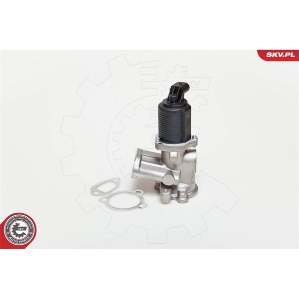 Egr-ventil 12V Esen skv 14SKV039 ESEN SKV