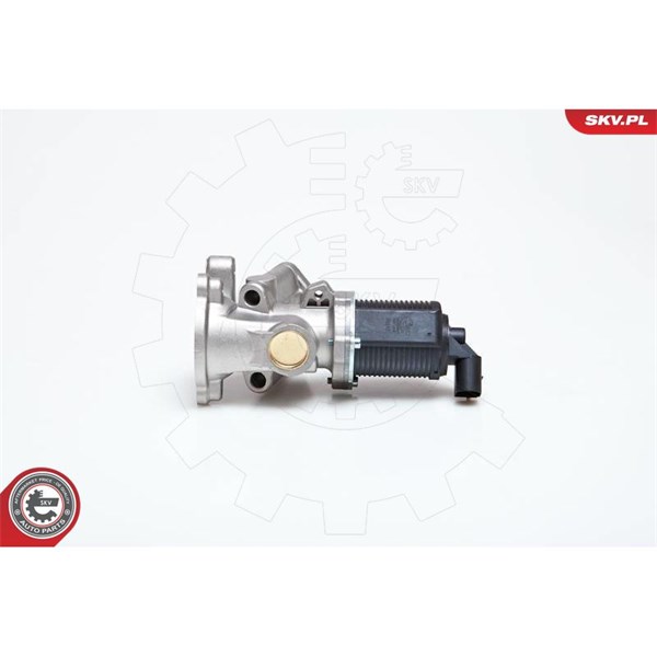 Egr-ventil 12V Esen skv 14SKV040 ESEN SKV