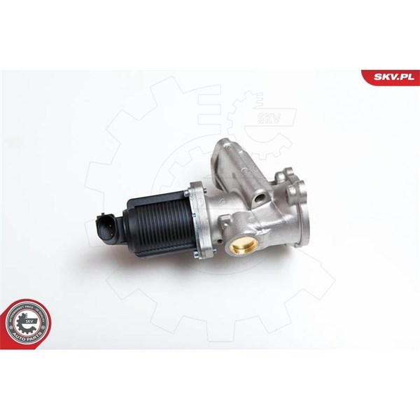 Egr-ventil 12V Esen skv 14SKV040 ESEN SKV
