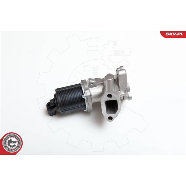 Egr-ventil 12V Esen skv 14SKV040 ESEN SKV