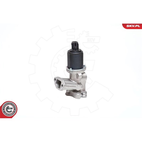 Egr-ventil 12V Esen skv 14SKV040 ESEN SKV