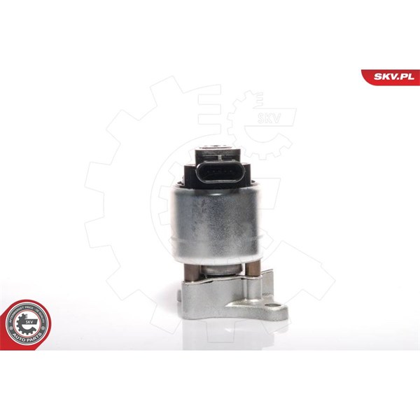 Egr-ventil 12V Esen skv 14SKV041 ESEN SKV