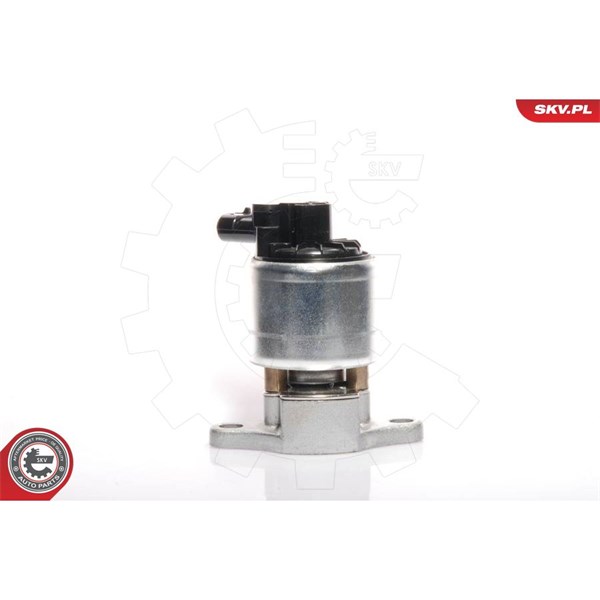 Egr-ventil 12V Esen skv 14SKV041 ESEN SKV