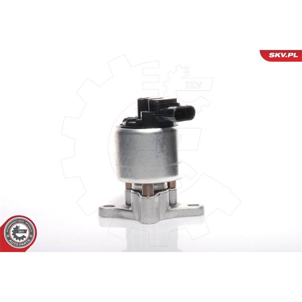 Egr-ventil 12V Esen skv 14SKV041 ESEN SKV