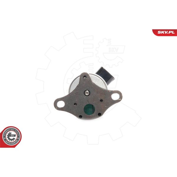 Egr-ventil 12V Esen skv 14SKV041 ESEN SKV