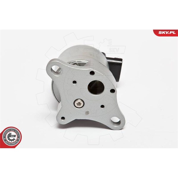 Egr-ventil 12V Esen skv 14SKV042 ESEN SKV