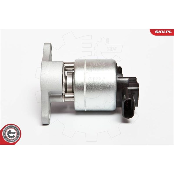 Egr-ventil 12V Esen skv 14SKV042 ESEN SKV