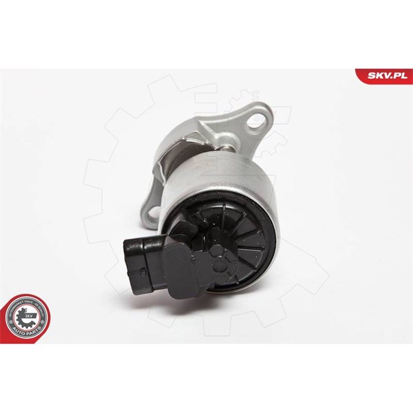 Egr-ventil 12V Esen skv 14SKV042 ESEN SKV