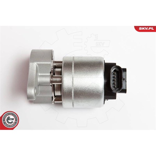Egr-ventil 12V Esen skv 14SKV042 ESEN SKV