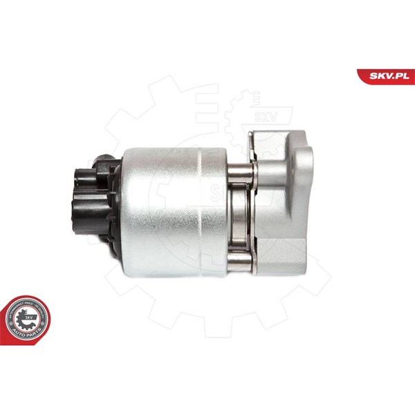 Egr-ventil 12V Esen skv 14SKV042 ESEN SKV