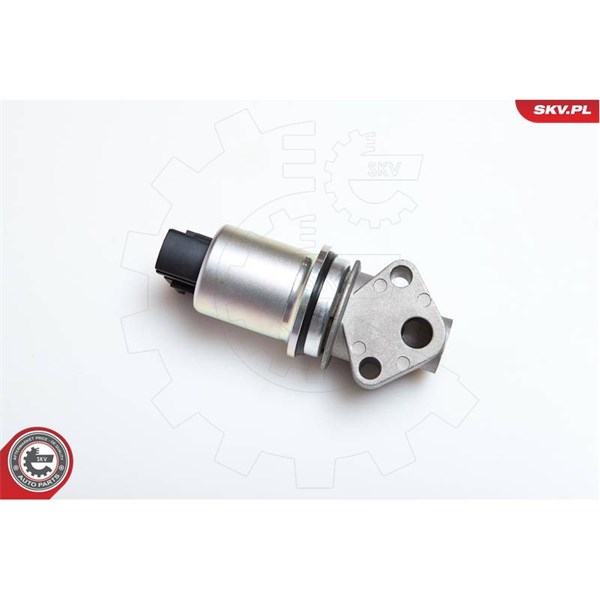 Egr-ventil 12V Esen skv 14SKV043 ESEN SKV