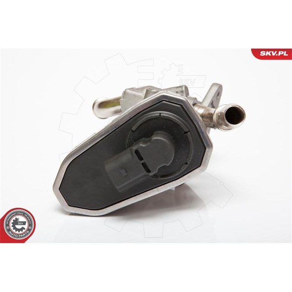 Egr-ventil 12V Esen skv 14SKV044 ESEN SKV