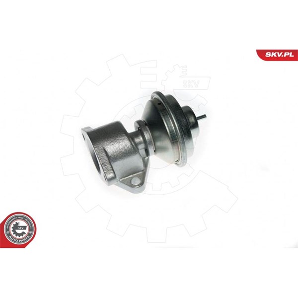 Egr-ventil Esen skv 14SKV049 ESEN SKV