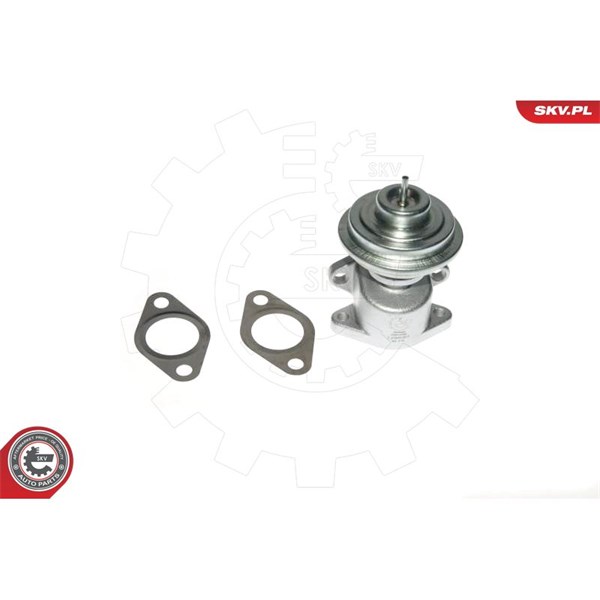 Egr-ventil Esen skv 14SKV049 ESEN SKV