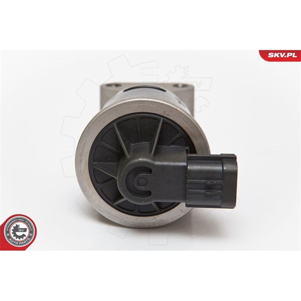 Egr-ventil 12V Esen skv 14SKV053 ESEN SKV