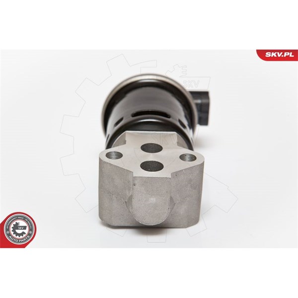 Egr-ventil 12V Esen skv 14SKV053 ESEN SKV Egr-ventil 12V Esen skv 14SKV053 ESEN SKV