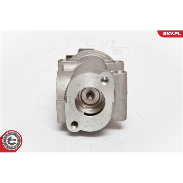 Egr-ventil 12V Esen skv 14SKV055 ESEN SKV