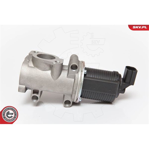 Egr-ventil 12V Esen skv 14SKV055 ESEN SKV