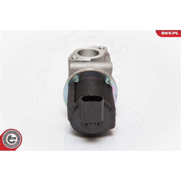 Egr-ventil 12V Esen skv 14SKV055 ESEN SKV