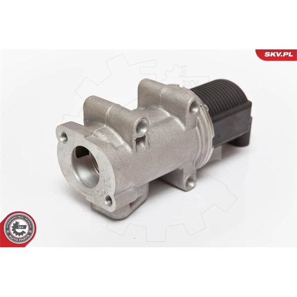 Egr-ventil 12V Esen skv 14SKV055 ESEN SKV