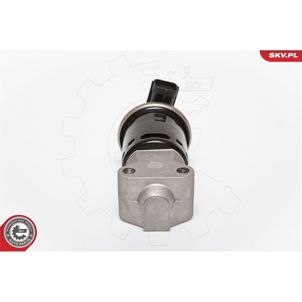 Egr-ventil 12V Esen skv 14SKV059 ESEN SKV