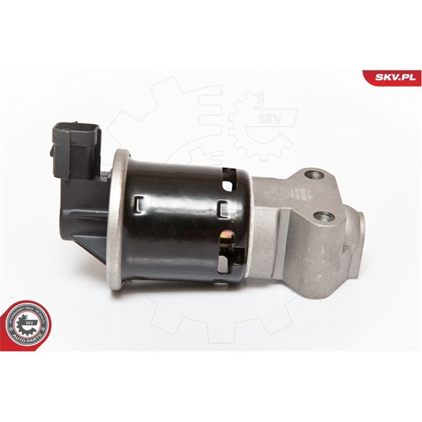 Egr-ventil 12V Esen skv 14SKV059 ESEN SKV