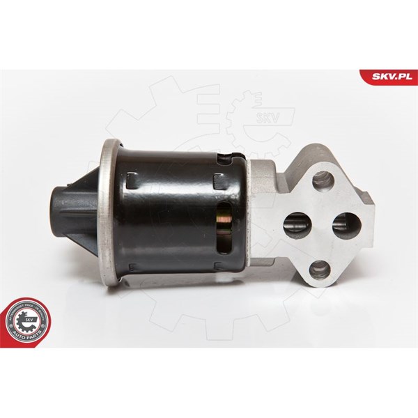 Egr-ventil 12V Esen skv 14SKV059 ESEN SKV