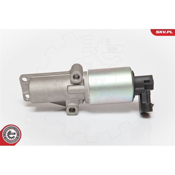 Egr-ventil 12V Esen skv 14SKV065 ESEN SKV