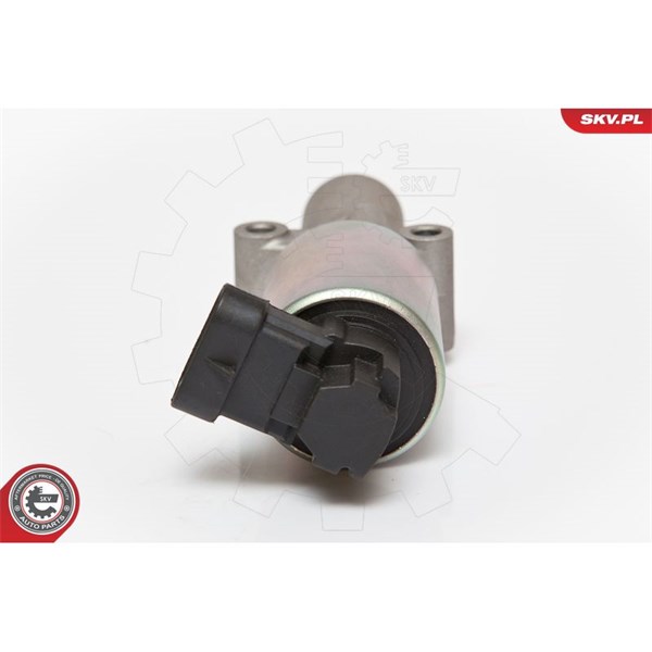 Egr-ventil 12V Esen skv 14SKV065 ESEN SKV