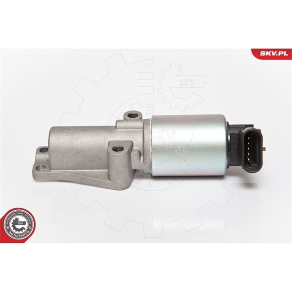 Egr-ventil 12V Esen skv 14SKV065 ESEN SKV