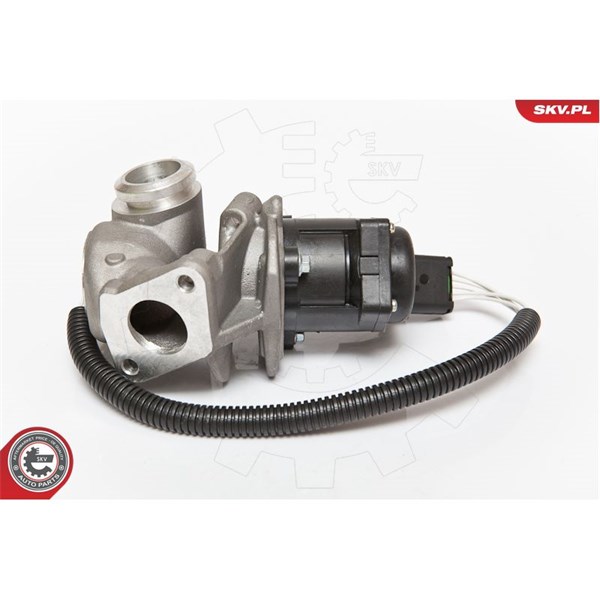 Egr-ventil 12V Esen skv 14SKV067 ESEN SKV