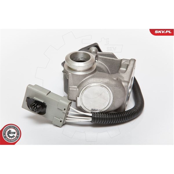Egr-ventil 12V Esen skv 14SKV067 ESEN SKV