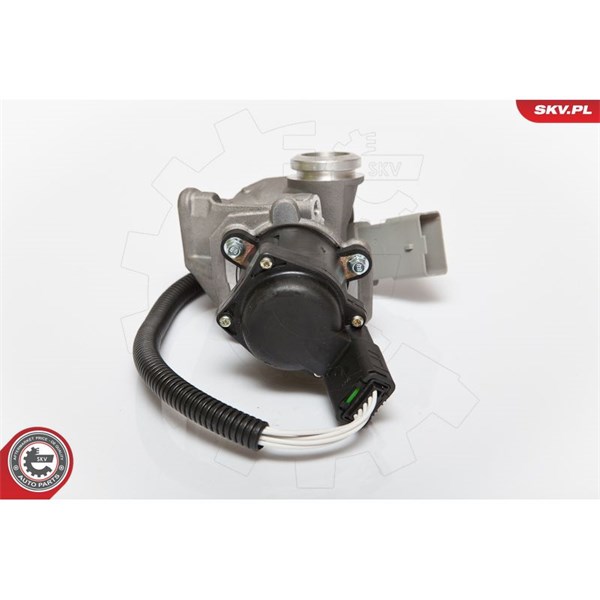 Egr-ventil 12V Esen skv 14SKV067 ESEN SKV