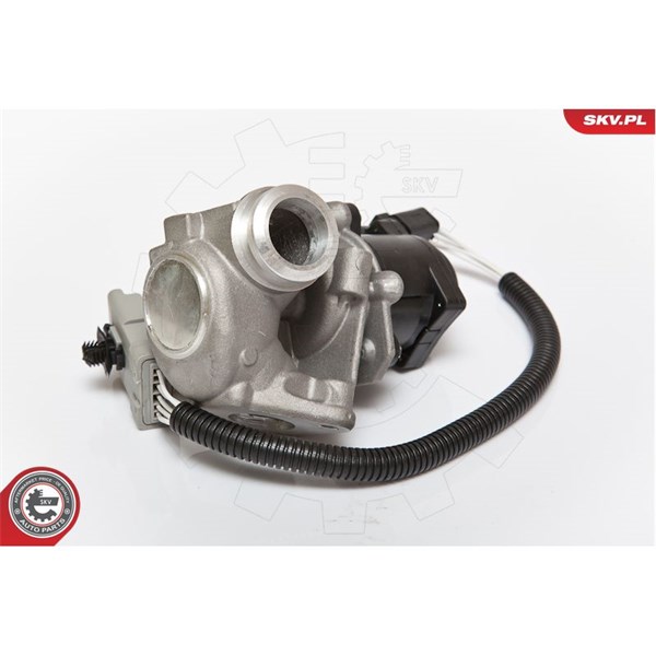 Egr-ventil 12V Esen skv 14SKV067 ESEN SKV