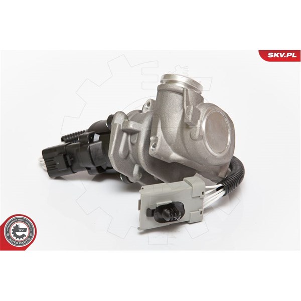 Egr-ventil 12V Esen skv 14SKV067 ESEN SKV