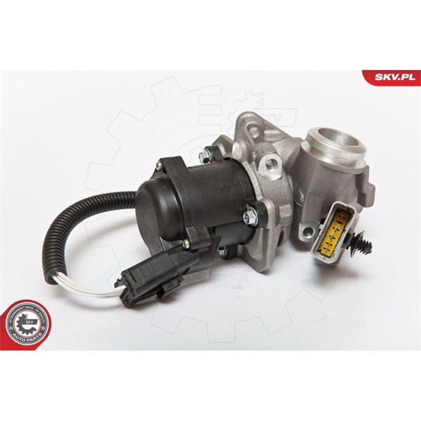 Egr-ventil 12V Esen skv 14SKV067 ESEN SKV