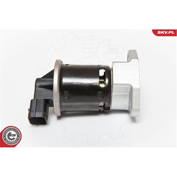 Egr-ventil 12V Esen skv 14SKV070 ESEN SKV