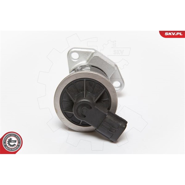 Egr-ventil 12V Esen skv 14SKV070 ESEN SKV