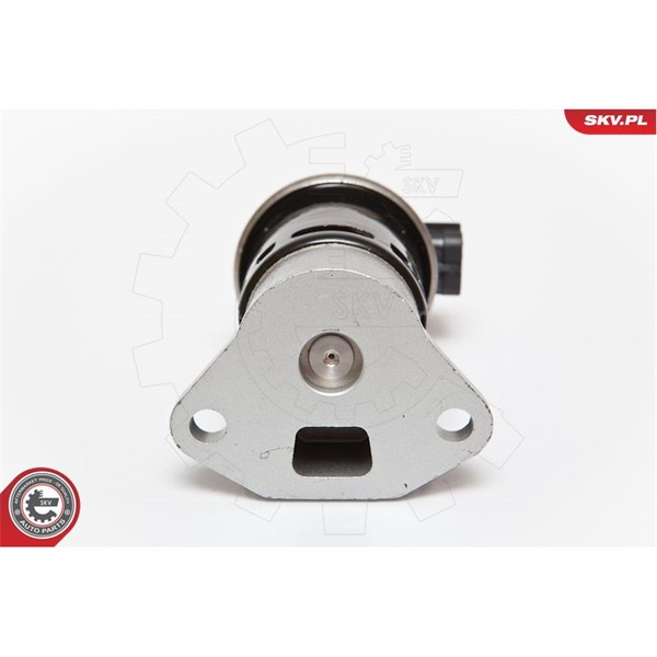 Egr-ventil 12V Esen skv 14SKV070 ESEN SKV