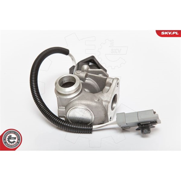 Egr-ventil 12V Esen skv 14SKV071 ESEN SKV