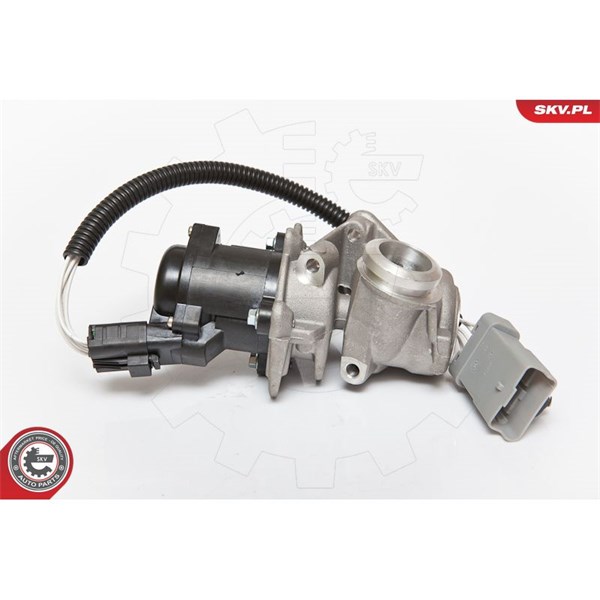 Egr-ventil 12V Esen skv 14SKV071 ESEN SKV